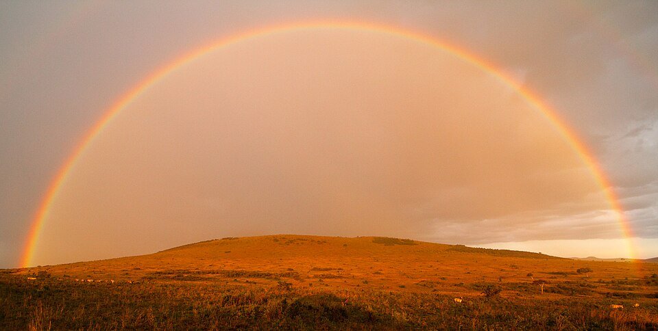 Maasai Mara, Kenya