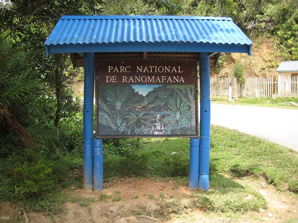 Ranomafana National Park, Madagascar
