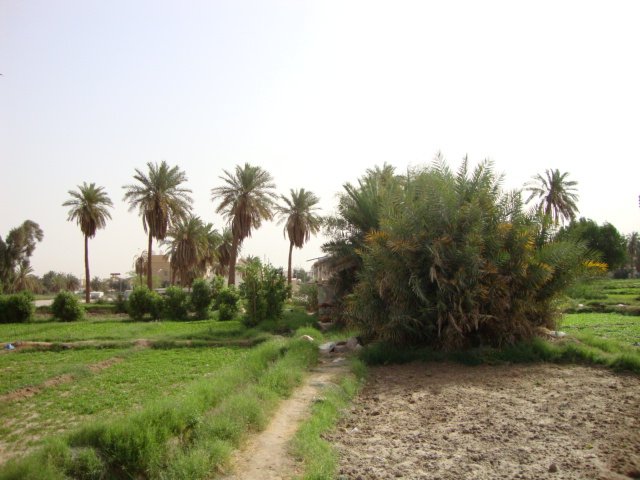 Jahra, Kuwait