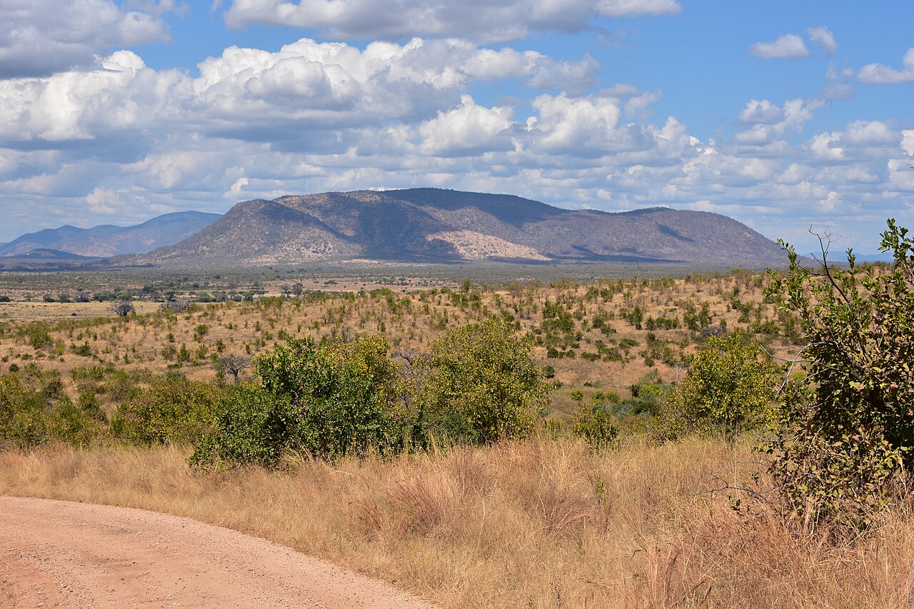 Ruaha, Tanzania