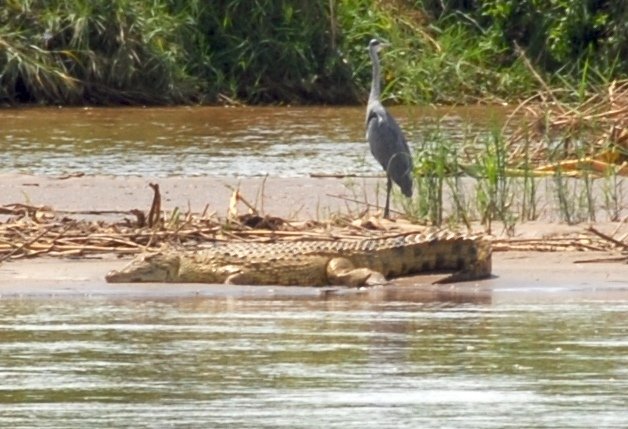 Rusizi National Park, Burundi
