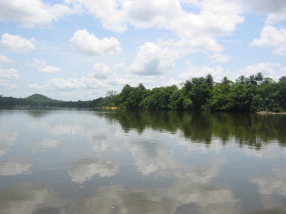 Tiwai Island, Sierra Leone