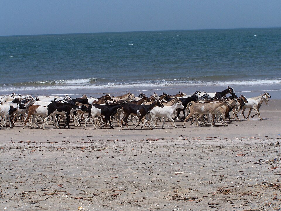 Banjul, Gambia