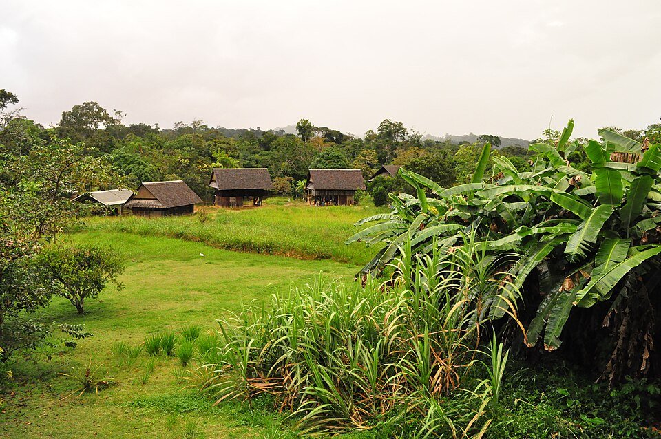 Guiana Amazonian Park, French Guiana