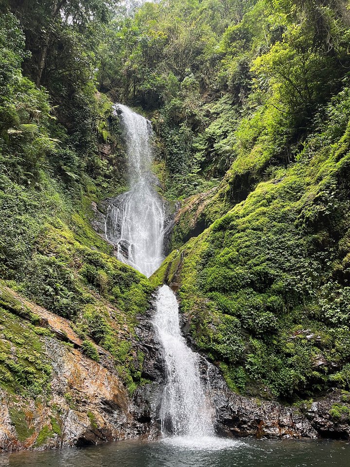 Nyungwe National Park, Rwanda