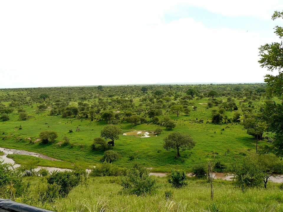 Tarangire, Tanzania