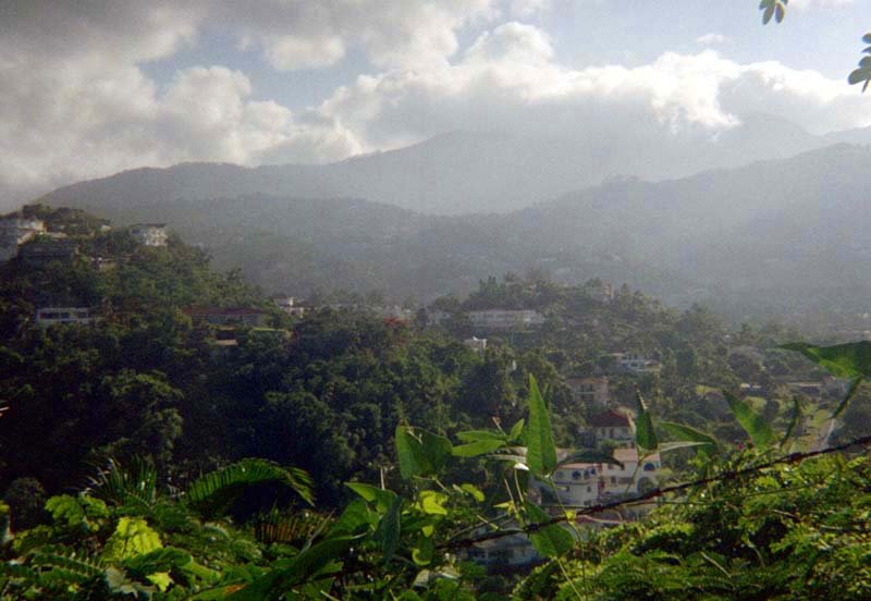 Blue Mountains, Jamaica