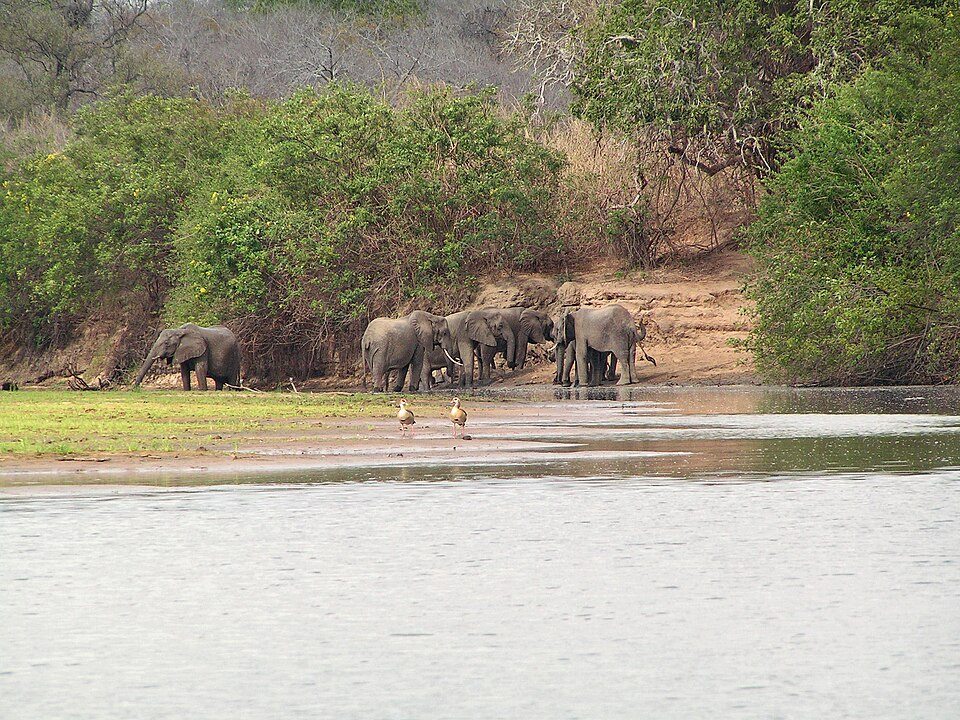 Selous, Tanzania