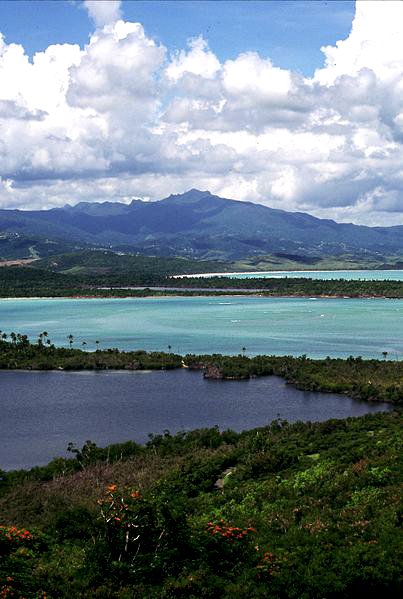 El Yunque National Forest, Puerto Rico