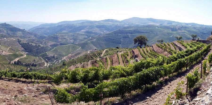 Douro Valley, Portugal