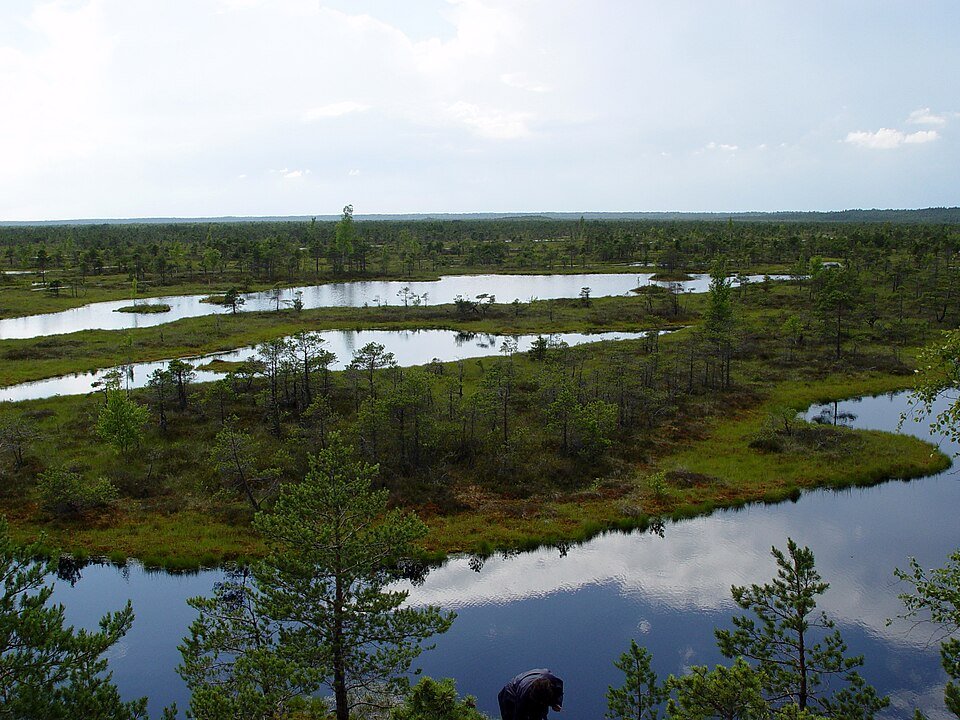 Ķemeri National Park, Latvia